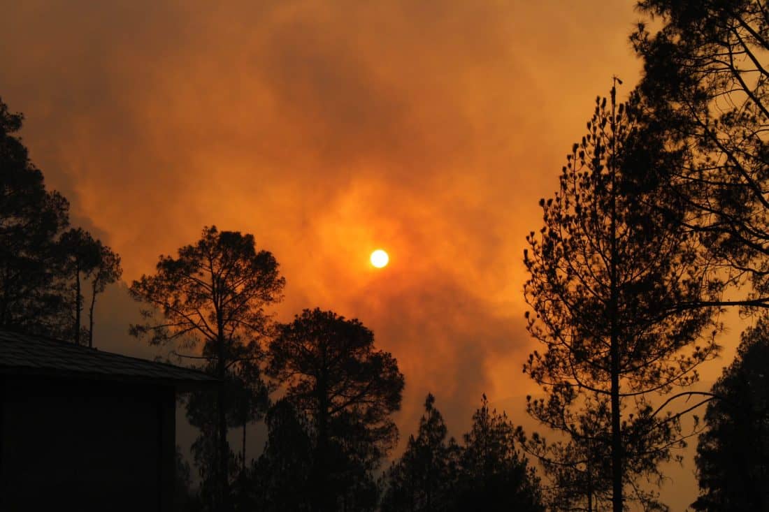 Bosbranden en klimaat